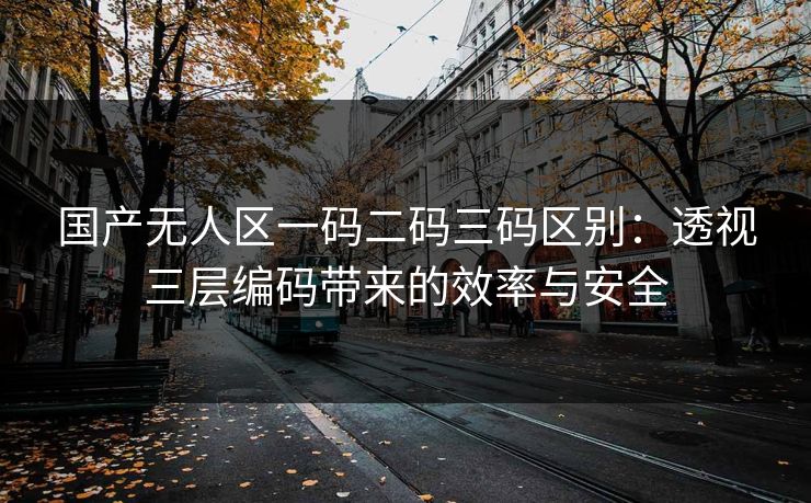 国产无人区一码二码三码区别:透视三层编码带来的效率与安全