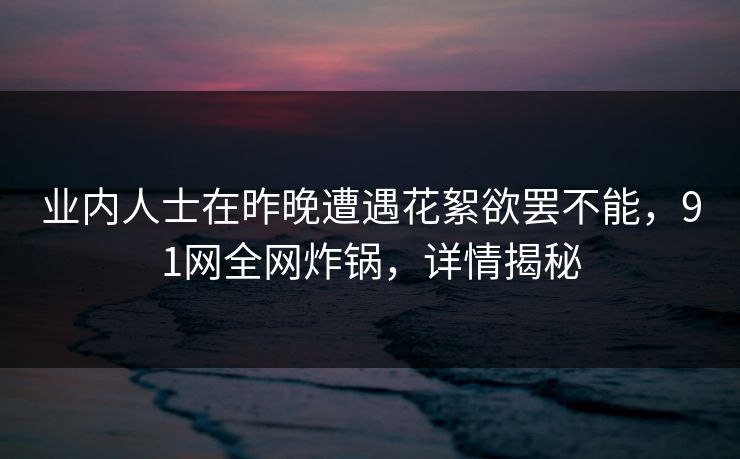 业内人士在昨晚遭遇花絮欲罢不能，91网全网炸锅，详情揭秘