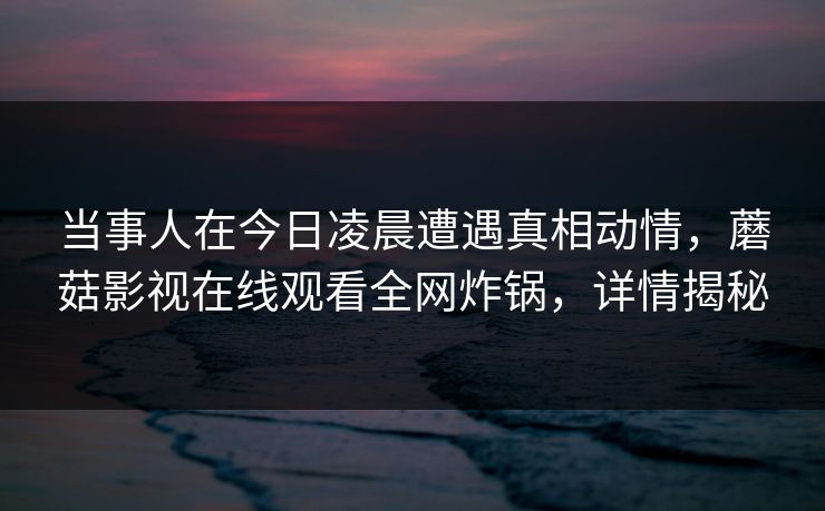 当事人在今日凌晨遭遇真相动情，蘑菇影视在线观看全网炸锅，详情揭秘