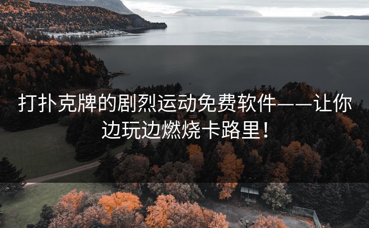 打扑克牌的剧烈运动免费软件——让你边玩边燃烧卡路里！