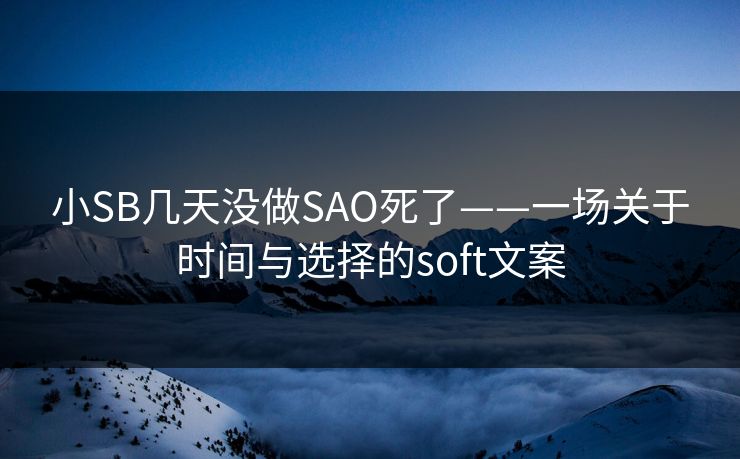 小SB几天没做SAO死了——一场关于时间与选择的soft文案